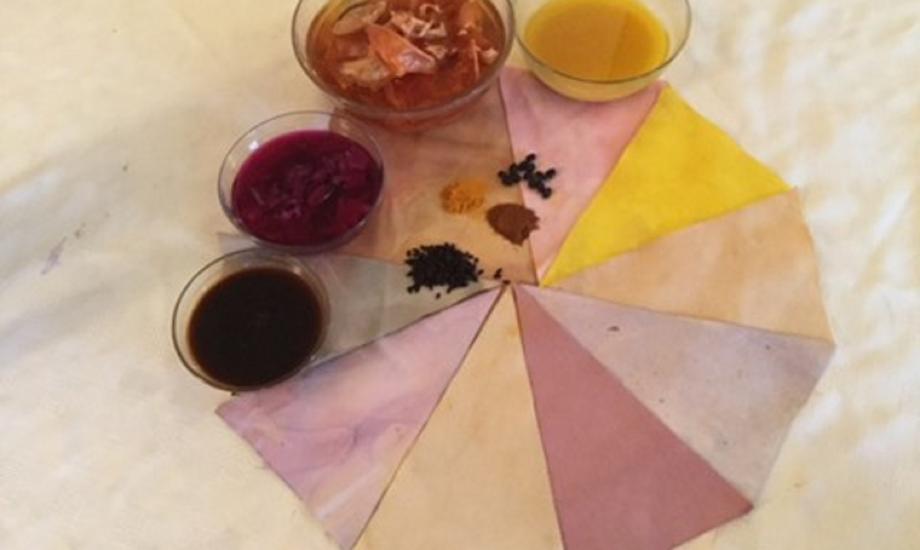 Image of food and water in bowls and a circle of dyed materials