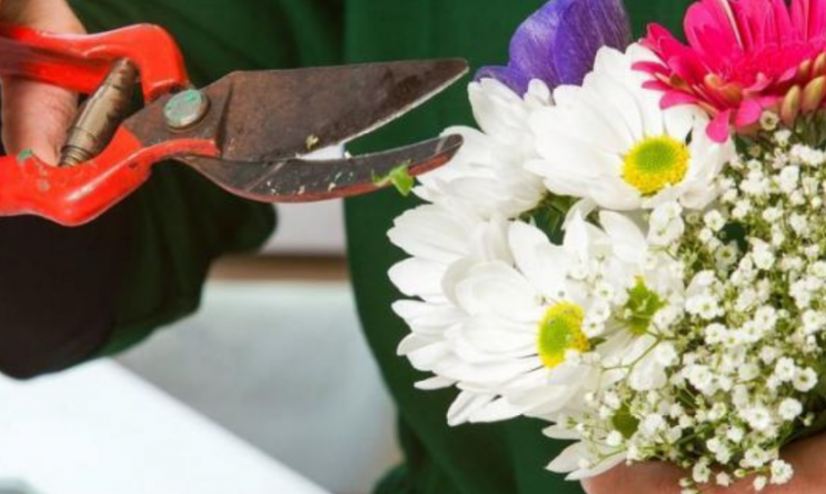 A person holding secateurs and flowers